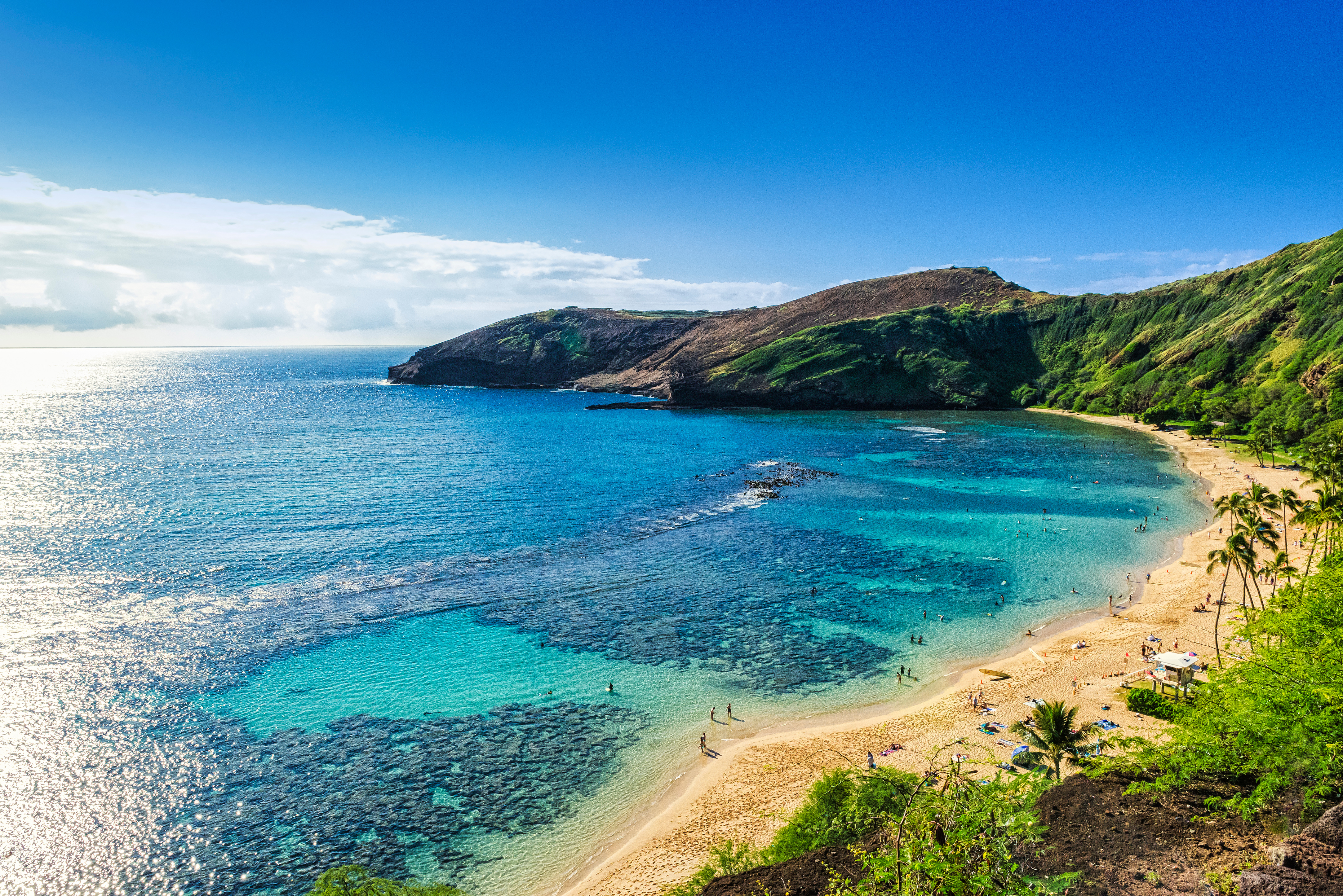 Honolulu Department of Parks and Recreation Press Release