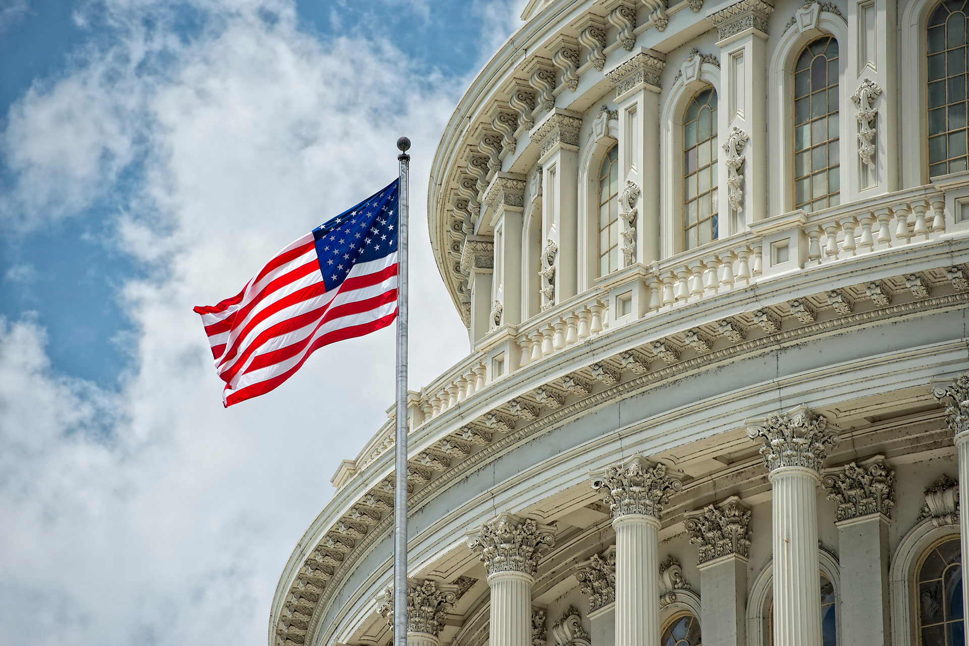 Federal Government Market