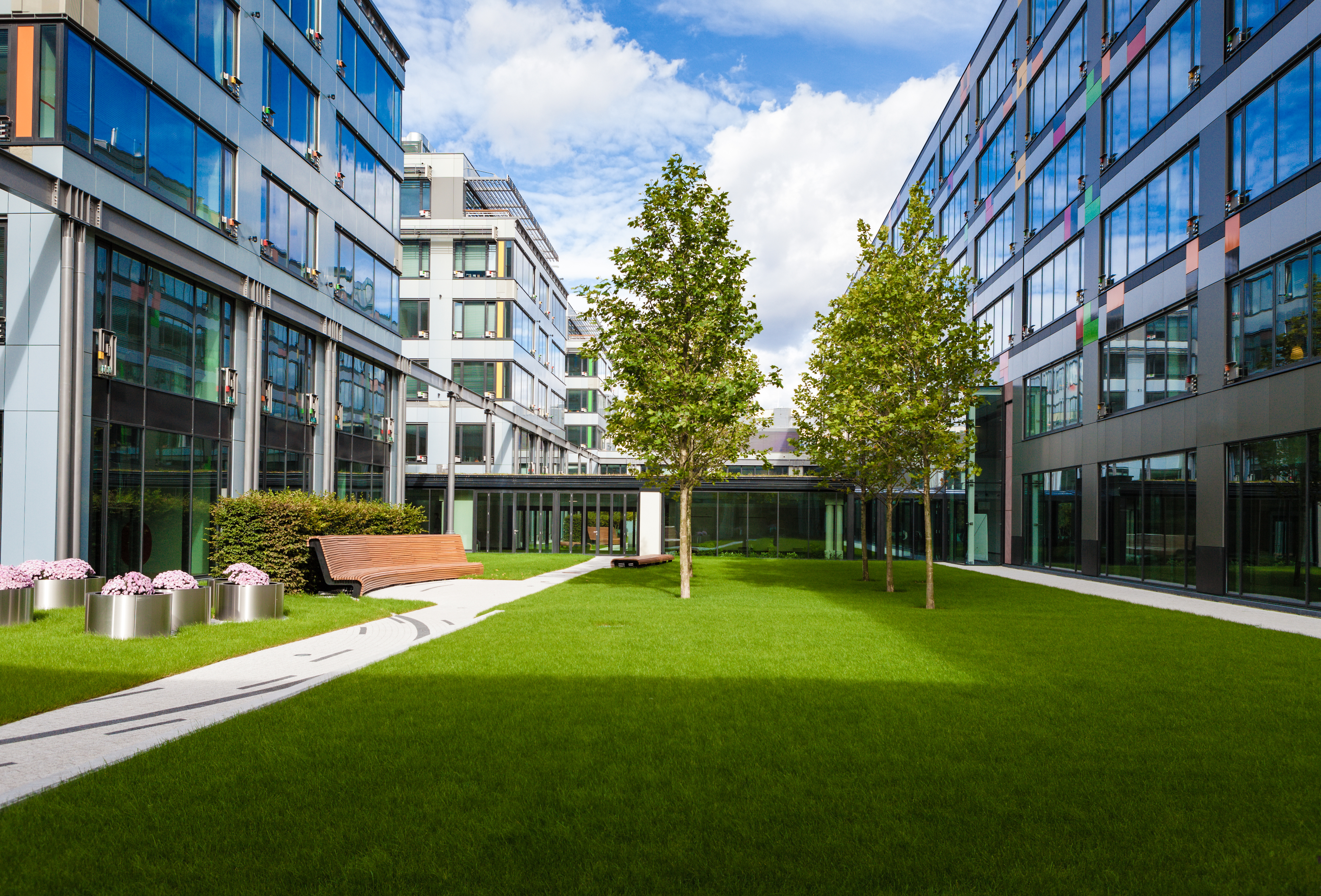 modern buildings with trees